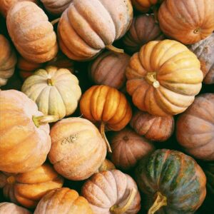 Fall Digital Wallpaper