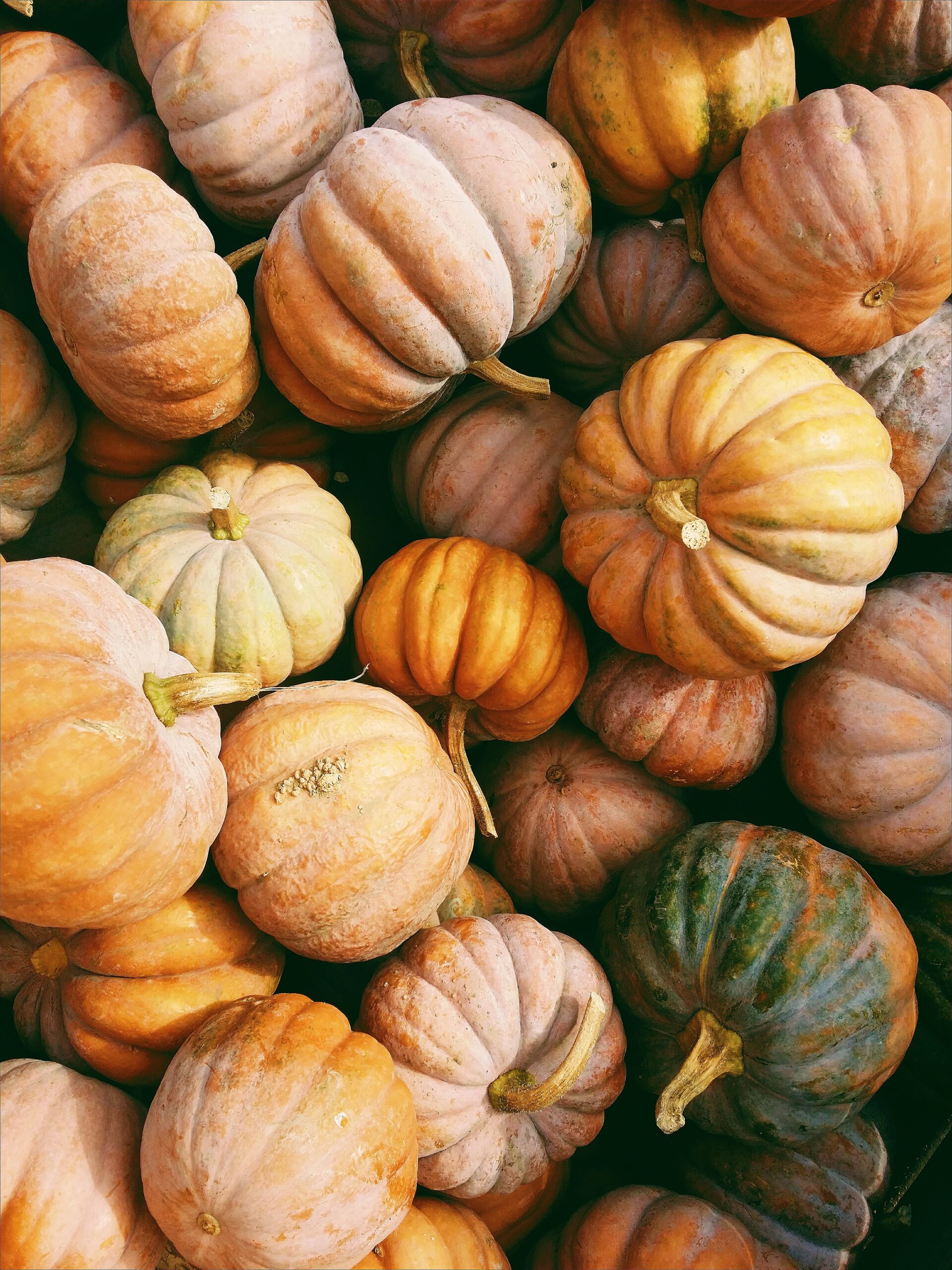 Fall Digital Wallpaper
