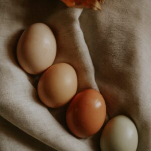 Farm-Fresh Eggs
