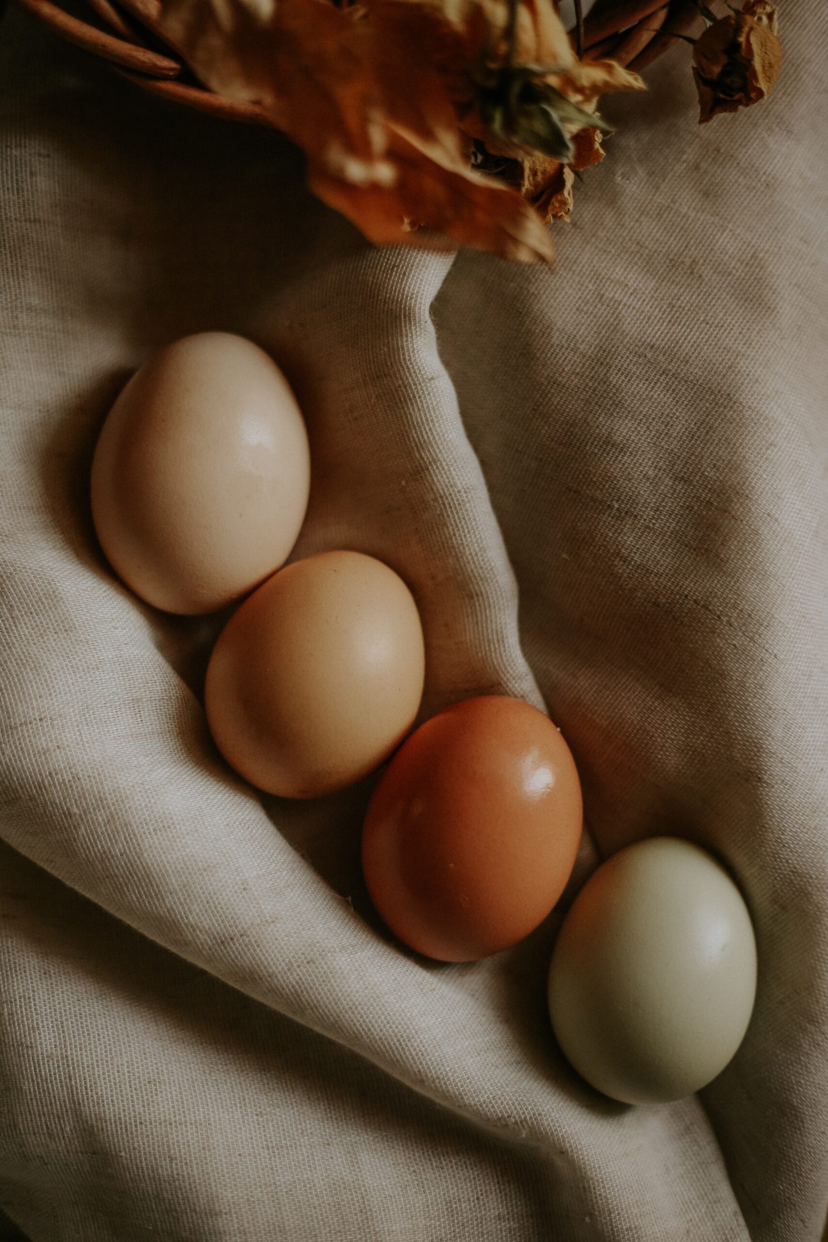 Farm-Fresh Eggs